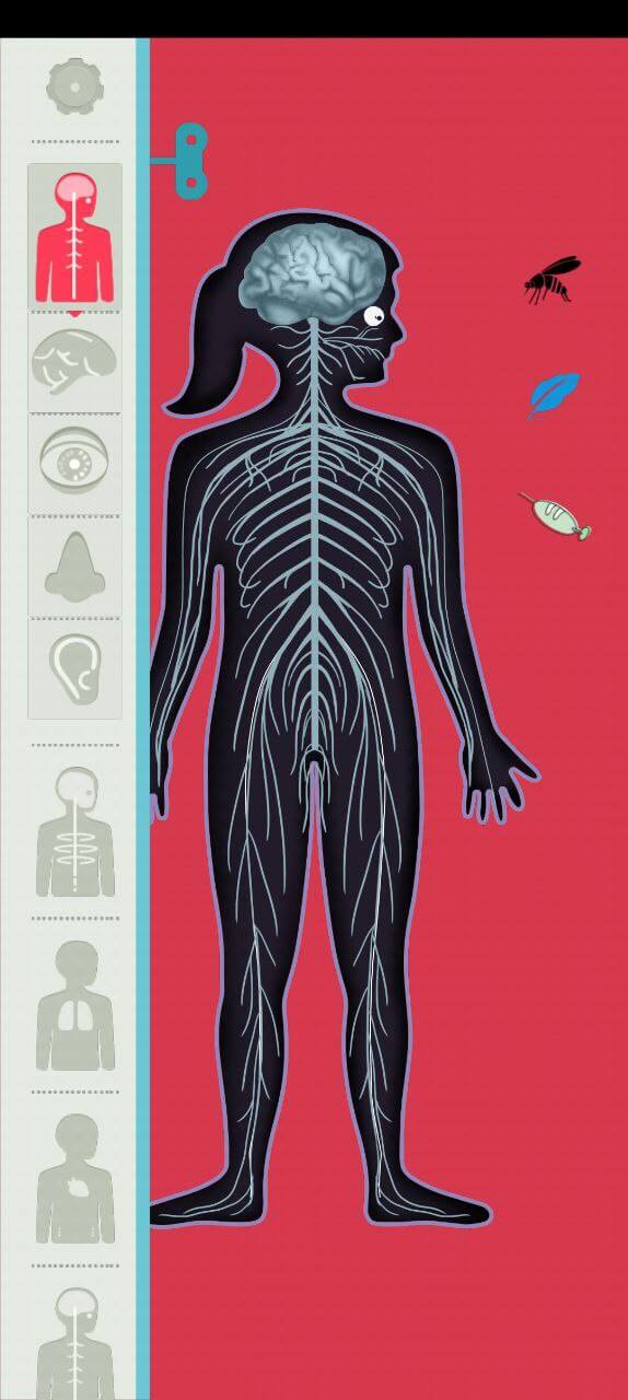 人体探秘app下载最新_人体探秘应用纯净版下载v1.0